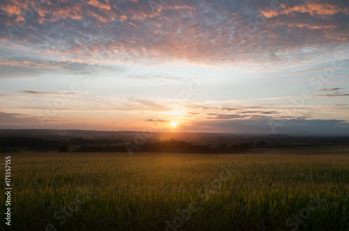 corn field in sunset with clouds © kovaricekpavel