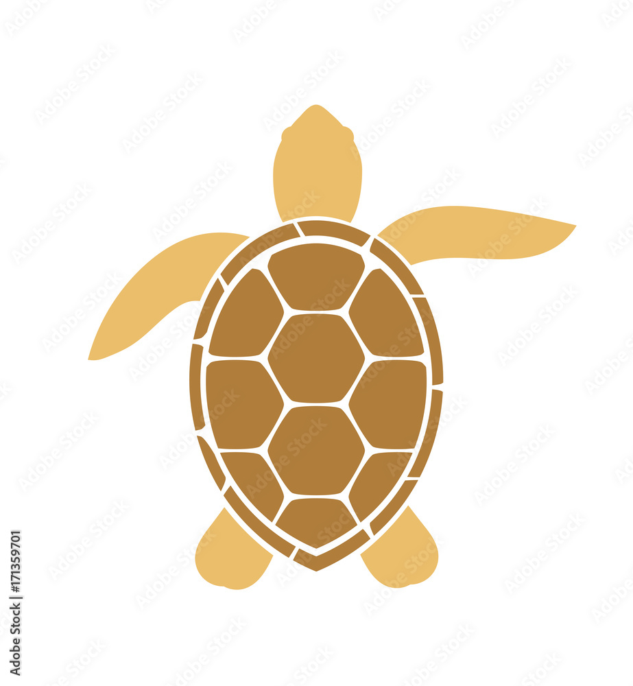 Naklejka premium Sea turtle icon