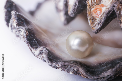 Fotografia Single pearl in an oyster shell