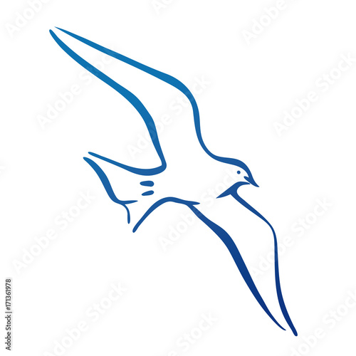 Seagull flying. Design silhouette. logo vector illustration © Anna