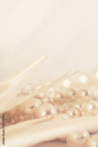 Pearls and Feathers, romantic set up with empty space