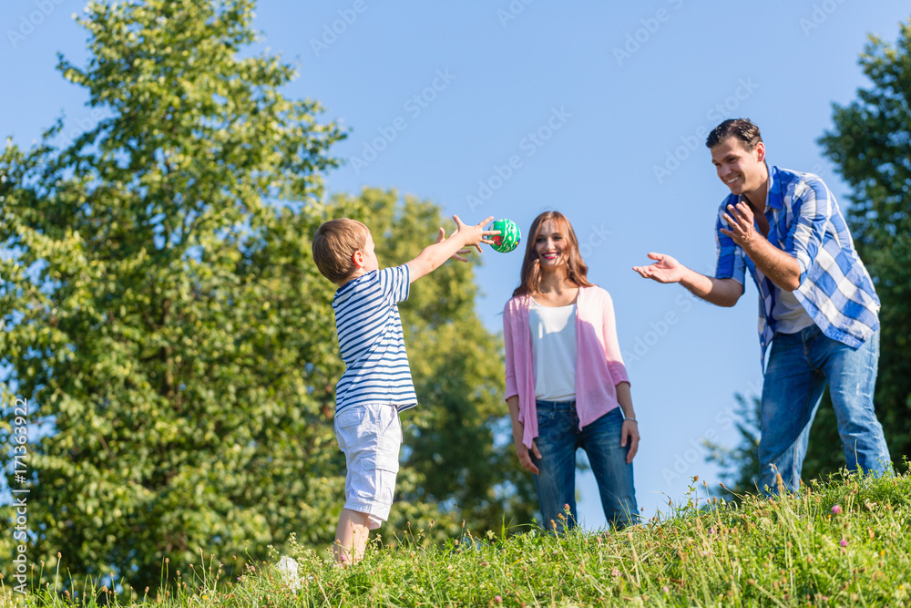 Family playing ball on summer meadow in summer