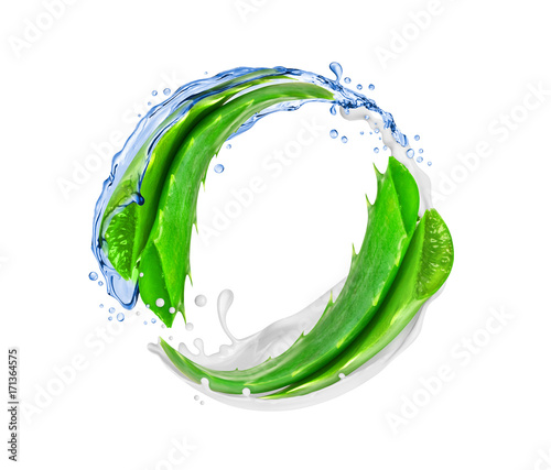 Aloe vera rotates in splashes of water and cream, isolated on white background