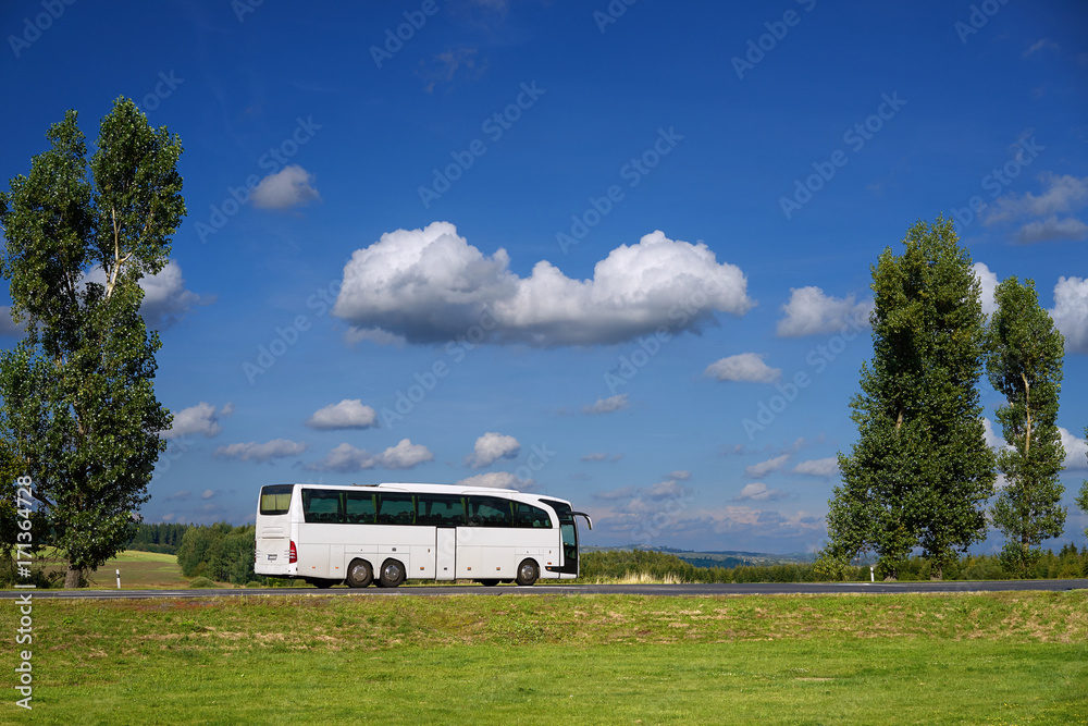 White bus traveling on a road between two tall trees in a rural landscape under a blue sky with white clouds