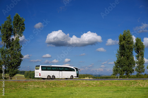Obraz na płótnie White bus traveling on a road between two tall trees in a rural landscape under a blue sky with white clouds w salonie