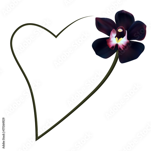 Realistic black orchid frame, heart.