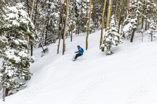 snowboarder riding though some powder and thick trees