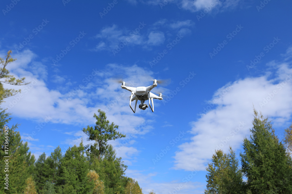 drone flying in the autumn forest drone flying in the autumn forest