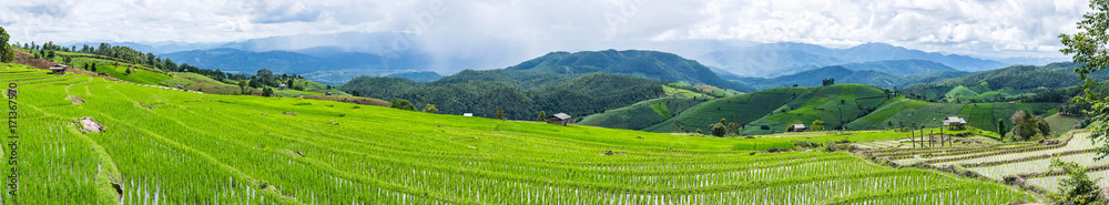 Fototapeta premium Panorama with little hut and Rice terrace in a cloudy lighting surrounded by trees and mountains with a raining storm in the background at Pa Bong Piang near Mae Chaem, Chiangmai, Thailand...