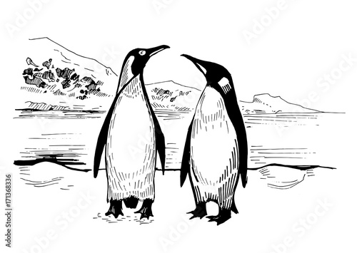 Two penguins in the Arctic