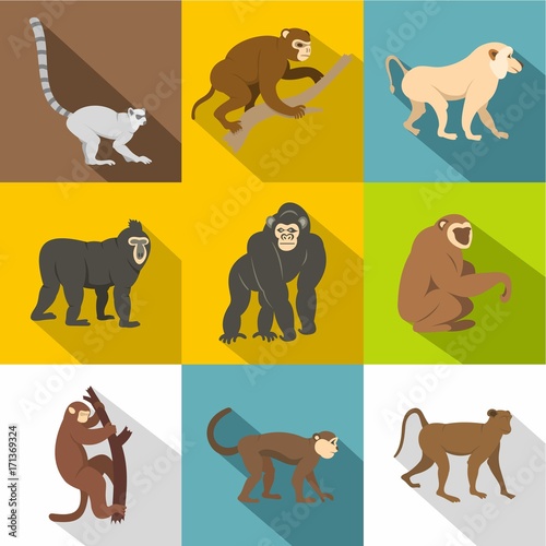 Tropical monkey icon set, flat style
