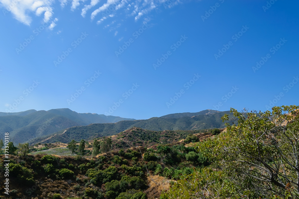 Trails into mountains and forest on summer day