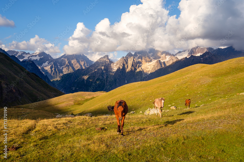 Beautiful mountain landscape with wild horses in Svaneti, Georgia