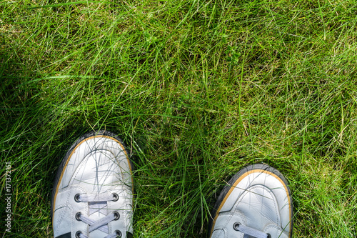 White sneakers on a green grass top view. A view from the first person under the feet to the fresh green grass. Walking on the grass concept