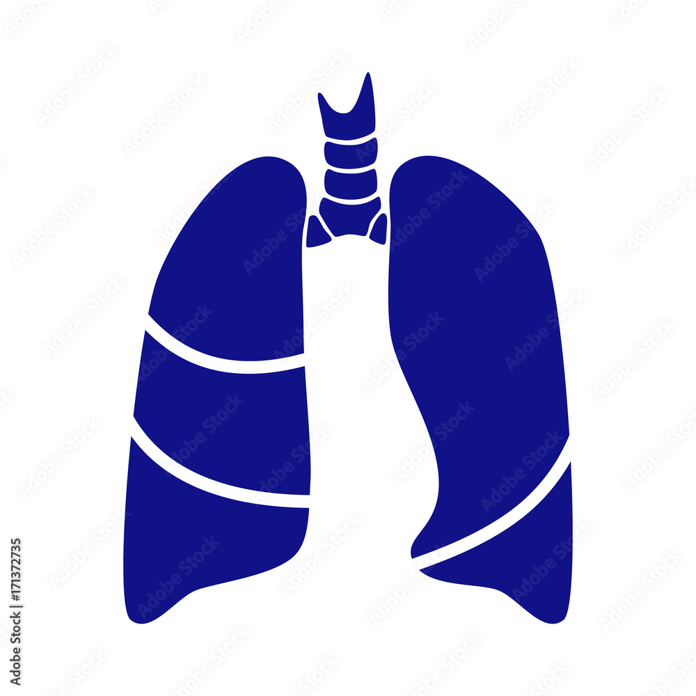 Vector silhouette medical illustration of human body organ - lungs with trachea. Logo template for clinic, hospital. Symbol for asthma, tuberculosis, pneumonia. Health care of respiratory system.