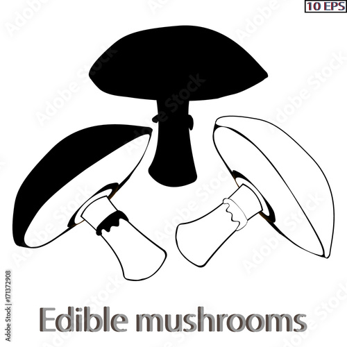 Mushrooms. Black icon. Edible fungus. Illustration to culinary sites or cook book. Recipe mushrooms, vegetarian menu, kitchen interior design. Vector illustration.