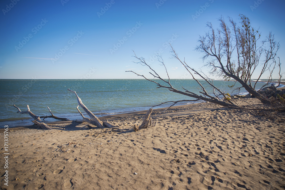 Point Pelee National Park beach in the fall at sunset time, lake Erie, Ontario, Canada Point Pelee National Park beach in the fall at sunset time, lake Erie, Ontario, Canada