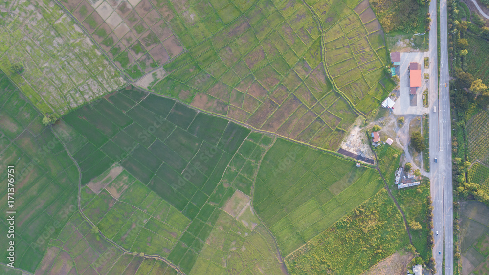 Fototapeta premium Top view of the rice paddy fields in northern Thailand