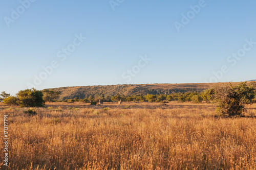 High plateau, Mesa, Great Karoo, South Africa