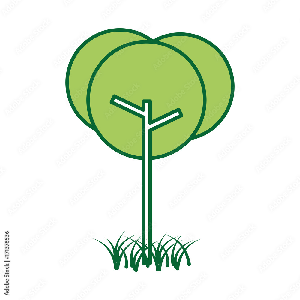 tree natural foliage park plant vector illustration tree natural foliage park plant vector illustration