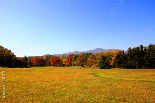Park in Sapporo in autumn