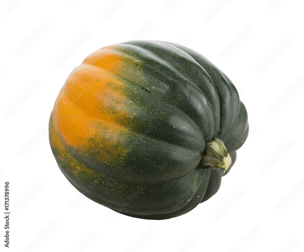 Acorn Squash on white