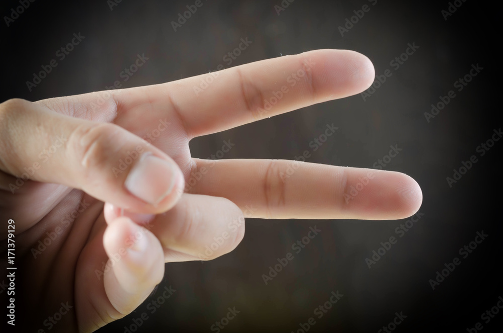 Close up of woman hand isolated. Close up of woman hand isolated.