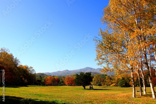 Park in Sapporo in autumn