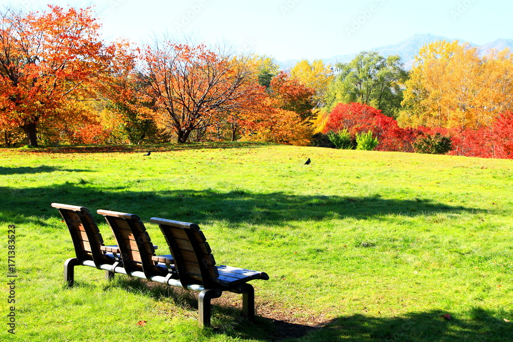Park in Sapporo in autumn Park in Sapporo in autumn