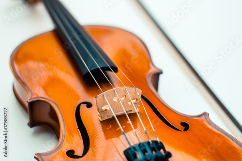 violin, musical instrument