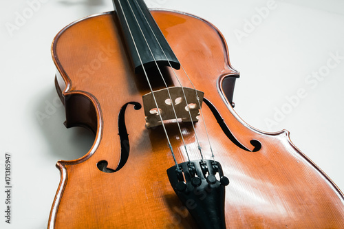 violin, musical instrument