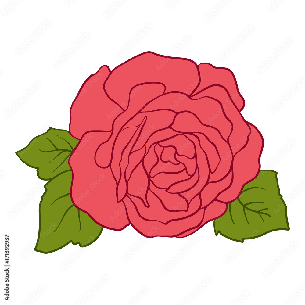 Obraz premium Isolated red rose with green leaves. Stock line vector illustrat