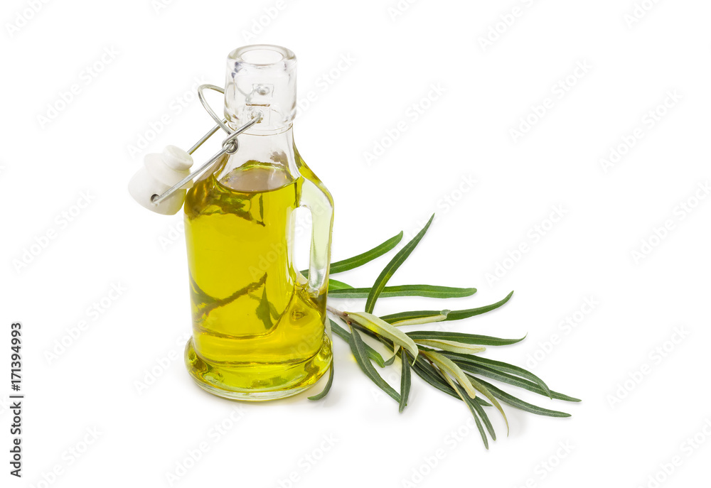 Bottle of olive oil and olive branch Bottle of olive oil and olive branch