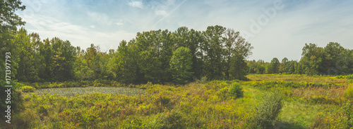 Meadow during early autumn, panoramic filtered photograph.