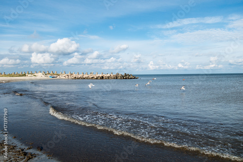 Landscape with seagulls, sea view with breakwaters, waves and sea shells, clouds, photographed in Gura Portitei, Romania, in cloudy summer day