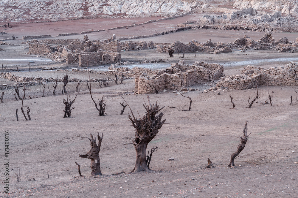 Φωτογραφία Árboles muertos y ruinas de un pueblo emergido por la sequía en el Embalse de Barrios de Luna, León, España