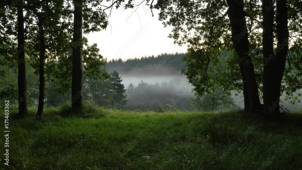 Timelapse of fog on the green hilly fields and forest - 4K Timelapse of fog on the green hilly fields and forest - 4K
