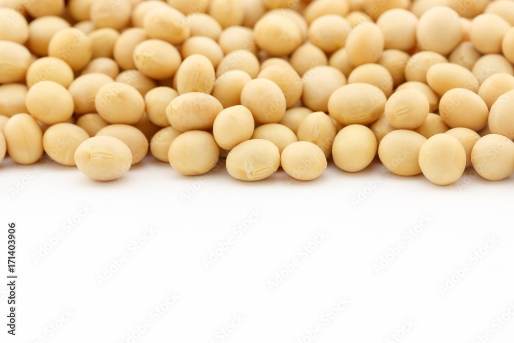 dried soy beans with copy space on white background dried soy beans with copy space on white background