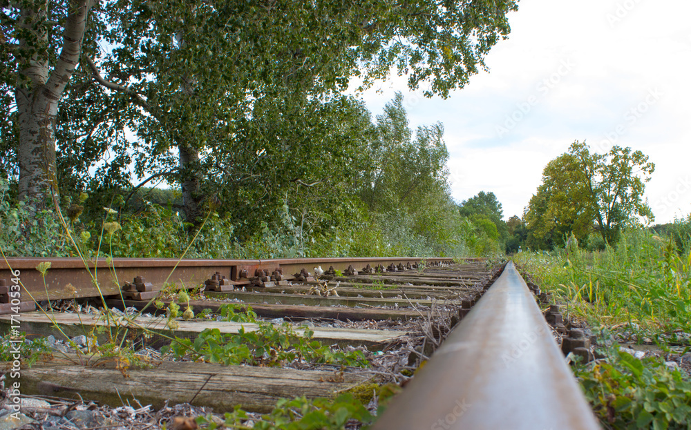 Railway tracks lead by nature Railway tracks lead by nature