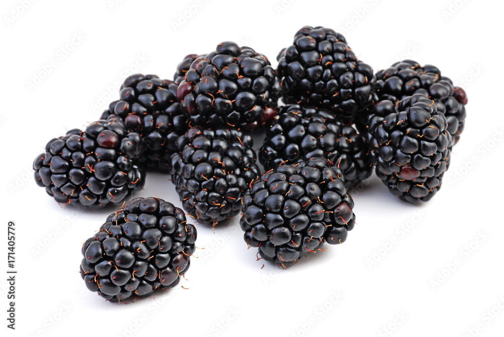 Blackberries isolated on white background. Blackberries isolated on white background.
