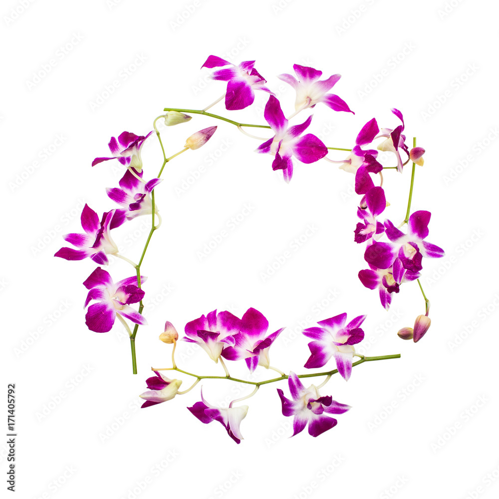 Round frame of orchid flower isolated on white background with clipping path. Purpler flower buds,  From top view