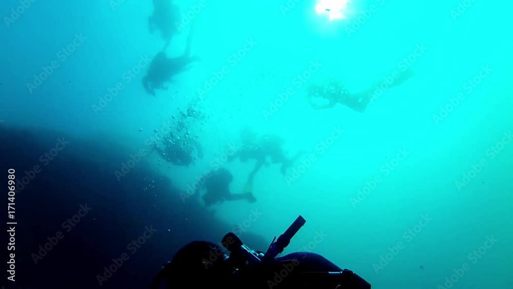 custom made wallpaper toronto digitalDivers in the water