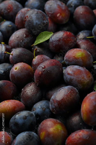 Blue plums food background