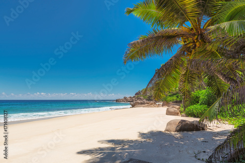 Beautiful beach with white sand and palm trees. Summer vacation travel holiday background concept.