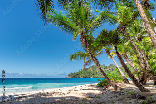 Fototapeta Naklejka Na Ścianę i Meble -  Landscape of paradise tropical island beach. Summer vacation travel holiday background concept.