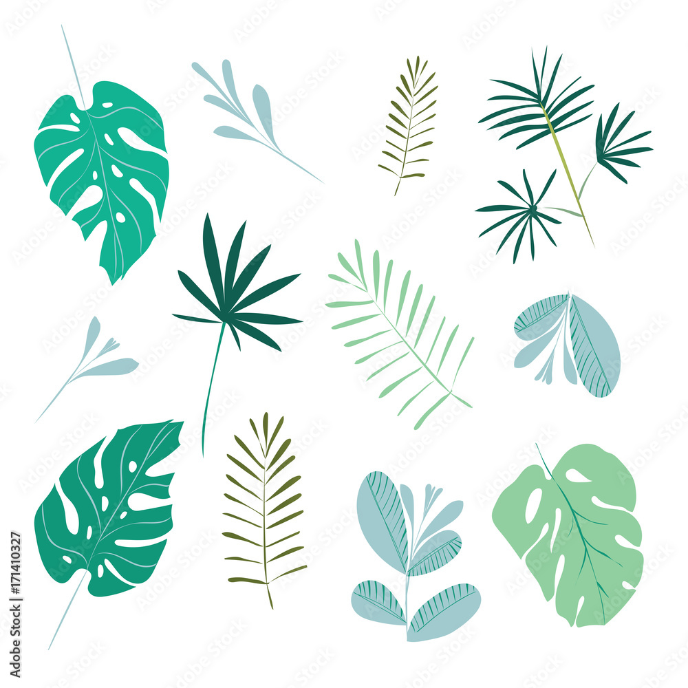 Set of leaves of tropical plants. Vector illustration, isolated on white background.