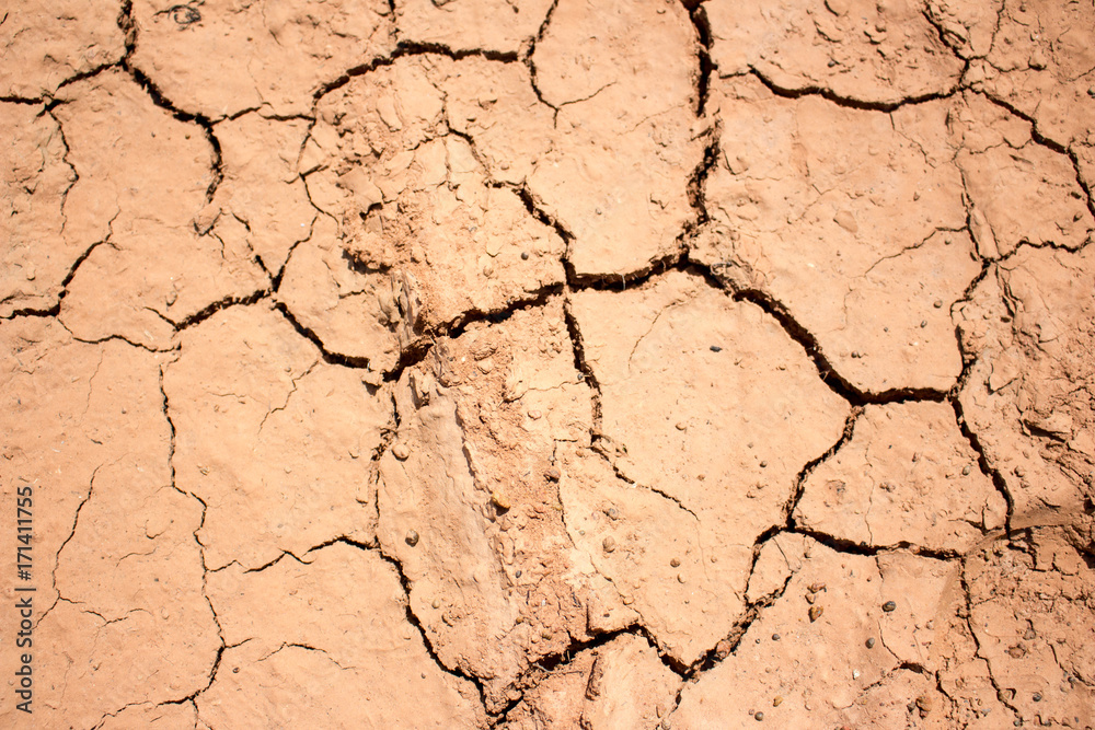 Fototapeta premium Dry land, Ground caused by drought.