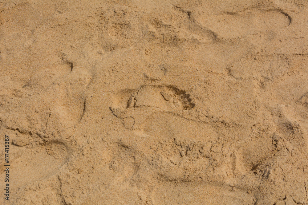 Closeup sand pattern of backgrounds Closeup sand pattern of backgrounds