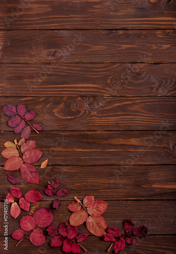 Flat lay frame of autumn crimson leaves on a dark wooden background.