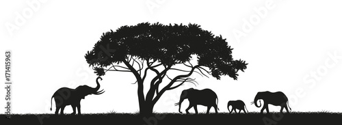 Black silhouette of elephants and trees in the savannah. Animals of Africa. African landscape. Panorama of wild nature. Vector illustration